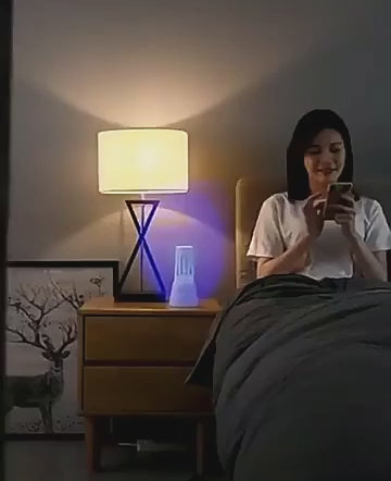 Mosquito Killer Lamp