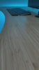 Pets Smart Gravity 360 Degree Self Roller Ball Toy